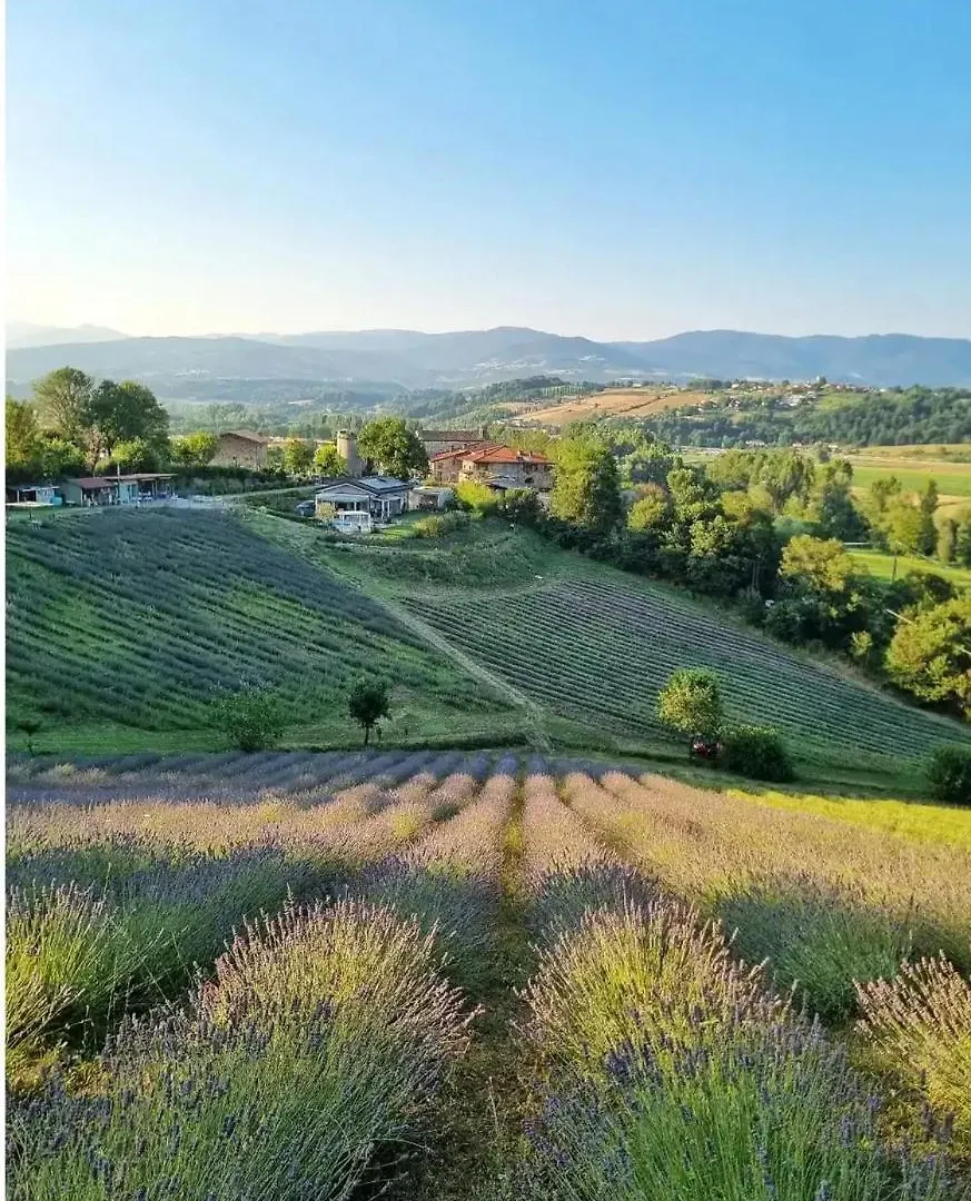 La Lavanda Di Poppi-Mini Appartamento