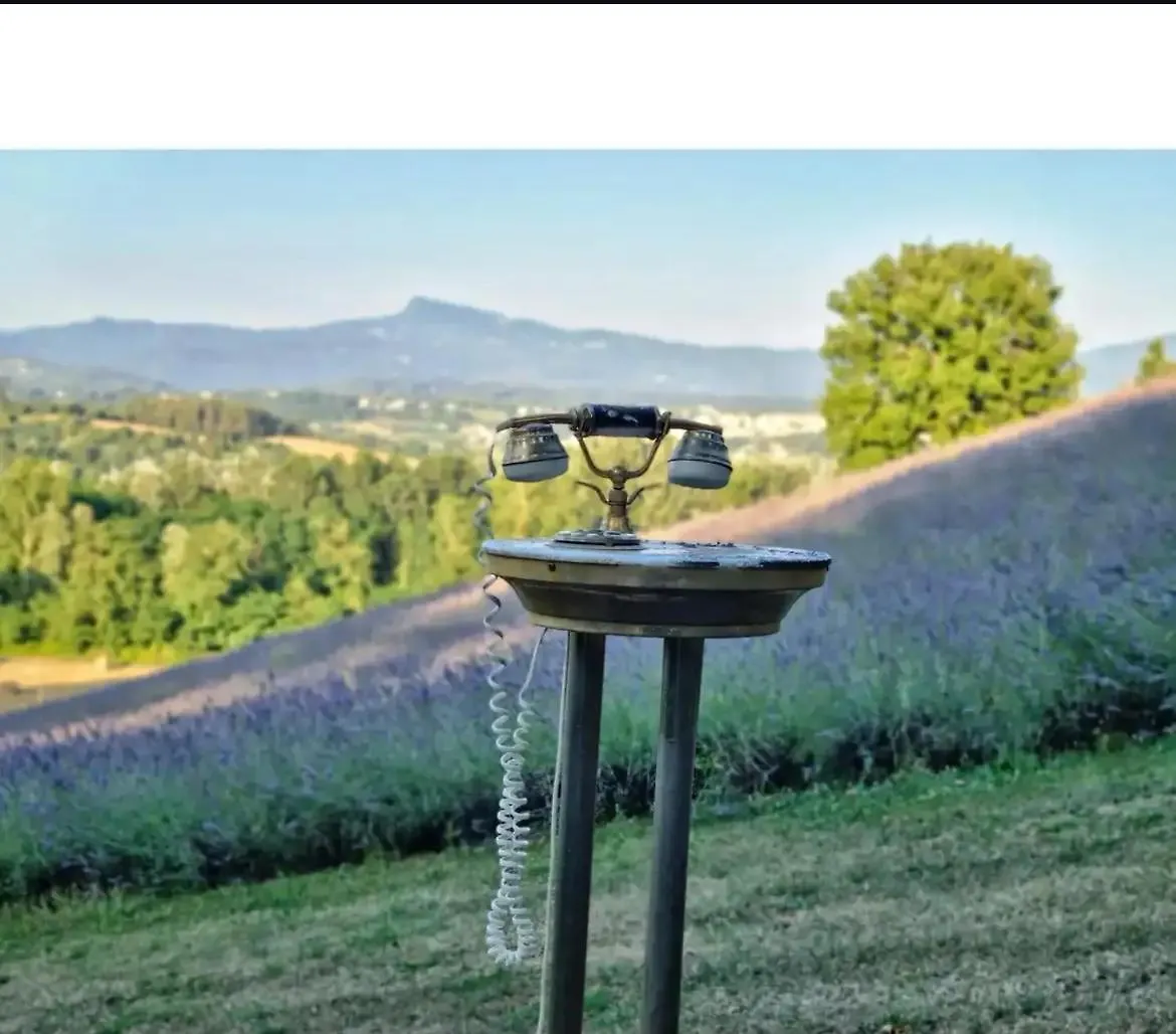 La Lavanda Di Poppi-Mini Appartamento Poppi